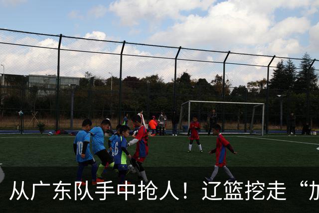 从广东队手中抢人！辽篮挖走“加强版杜润旺”，杜锋痛失锋线新星